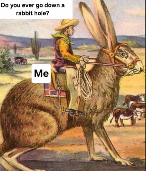 A humorous meme featuring a vintage illustration of a cowboy riding a giant jackrabbit in a desert setting, with text boxes reading 'Do you ever go down a rabbit hole?' at the top and 'Me' labeled on the cowboy.