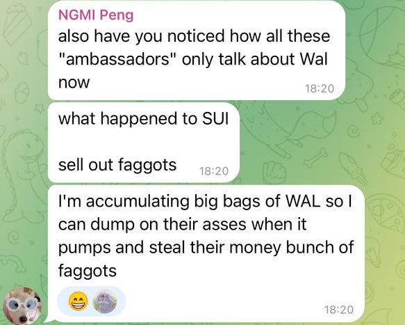 The image shows a screenshot of a chat message from "NGMI Peng" criticizing "ambassadors" who switched from discussing SUI to WAL, expressing intent to dump WAL tokens on "SUI faggots" — a message that directly contradicts and undermines the accompanying post's message of solidarity against racism and support for the Sui Network community.