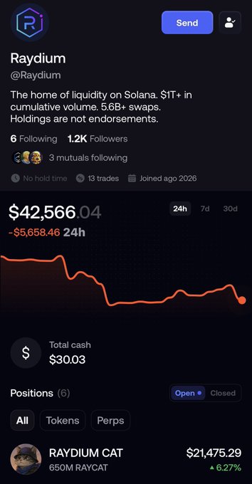 A screenshot of a Raydium (@Raydium) social profile showing portfolio value of $42,566.04 (down $5,658.46 in 24h), described as 'The home of liquidity on Solana' with 5.6B+ swaps, including a position in RAYDIUM CAT ($21,475.29, up 6.27%).