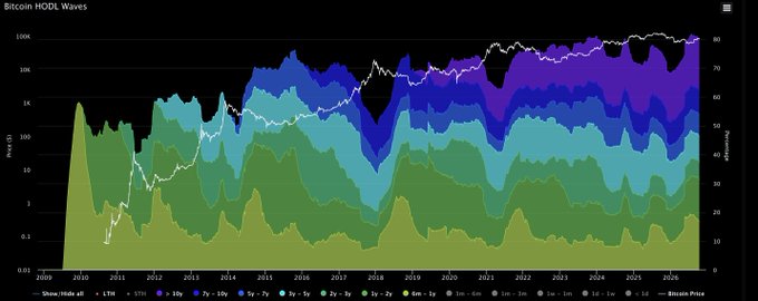 A Bitcoin HODL Waves chart from 2009 to 2025, displaying the price distribution of Bitcoin across different holding periods (1 month to 10+ years) as stacked area bands on a logarithmic scale, with the white line showing Bitcoin's price fluctuating from below $1 in early years to around $80,000 in 2025. The visualization illustrates how the composition of long-term versus short-term holders evolves over time, reflecting changes in market sentiment and holder conviction.