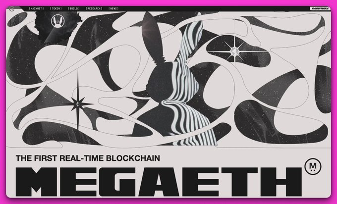 The image features a poster for the band Megaphone. The poster has a black and white design with a zebra and stars, and the text "Megaphone" is written in large letters at the top of the poster. The background color of the poster is pink. The text on the poster reads "The first real-time blockchain MegaETH wanted Terminal to find app demand. instead it found crypto' s actual PMF, again: focus on what is in the image and how it relates to the post." This message seems to be about a discussion or debate surrounding the concept of cryptocurrency and its impact on the music industry.