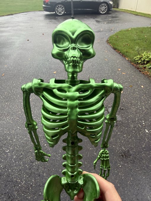 A green plastic skeleton decoration is held up outdoors on a driveway, with a black car visible in the background.