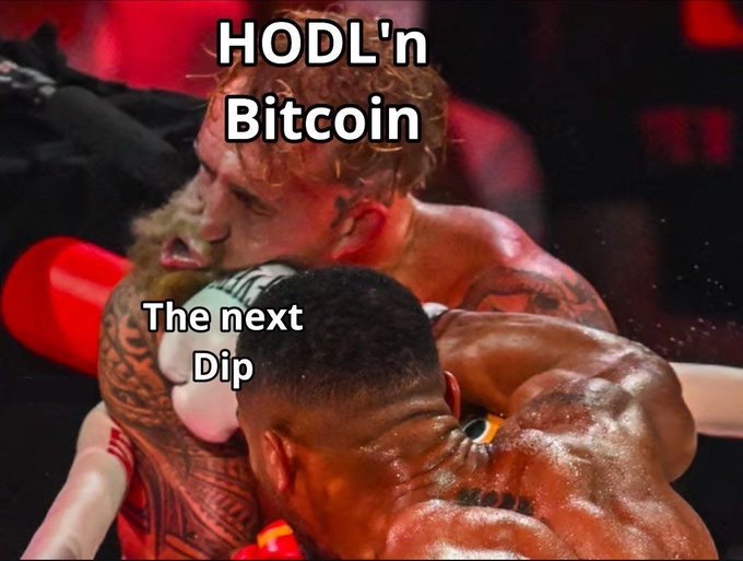 A meme image of boxers in a match labeled "HODL'n Bitcoin" biting "The next Dip."
