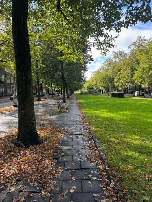 A peaceful autumn path lined with trees and scattered fallen leaves alongside a park, offering a serene reminder to take a step back and find calm amid market turbulence. The tranquil setting suggests a moment to pause, breathe, and consider long-term strategies rather than reacting to short-term crypto volatility.