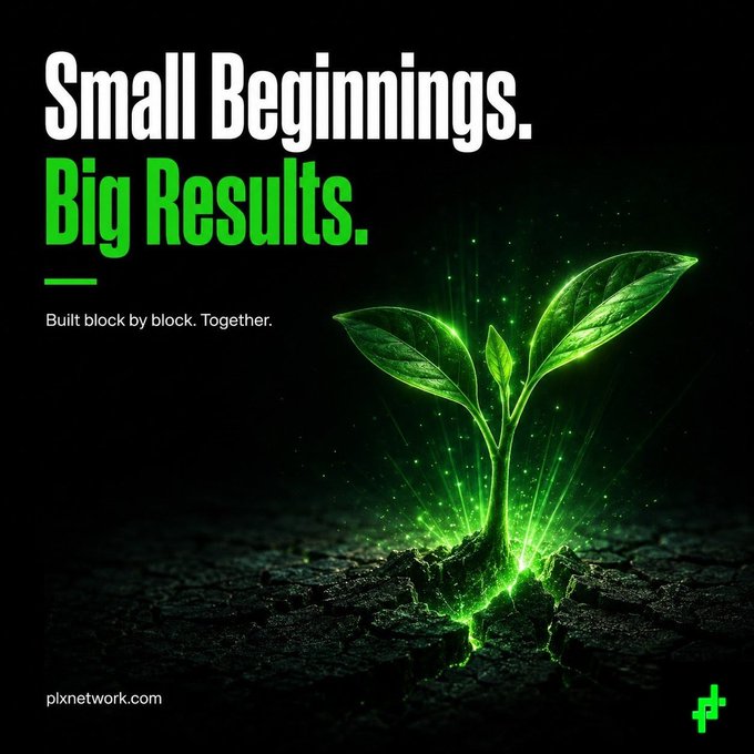 Motivational graphic with the text 'Small Beginnings. Big Results. Built block by block. Together.' featuring a glowing green sprout growing from dark soil, branded with plxnetwork.com.