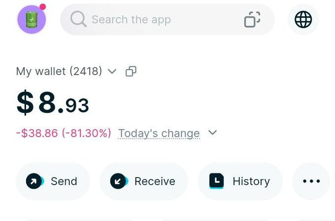 A crypto wallet dashboard shows a balance of just $8.93 after an 81.30% loss ($38.86 decrease) today, illustrating the steep losses from a meme coin investment. The image's dramatic drop in portfolio value visually reinforces the post's message about the harsh reality ("welcome to the trenches") of meme coin trading after chasing quick profits.