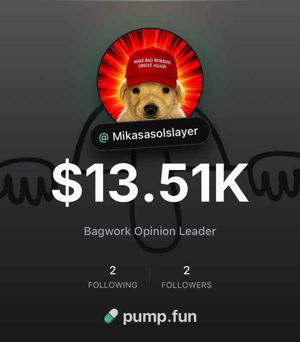 A Pump.fun profile page displaying '@Mikasasolslayer' with a $13.51K value, featuring a dog wearing a 'MAKE BAG WORKING GREAT AGAIN' red hat, titled 'Bagwork Opinion Leader' with 2 following and 2 followers.