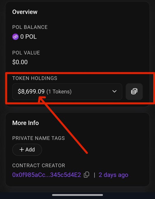 A cryptocurrency wallet overview screen showing 'POL BALANCE 0 POL', 'POL VALUE $0.00', and 'TOKEN HOLDINGS $8,699.09 (1 Tokens)' highlighted with a red box and arrow.