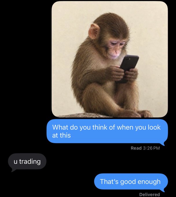 A text message conversation showing a monkey looking at a phone, with messages reading 'What do you think of when you look at this,' 'u trading,' and 'That's good enough.'