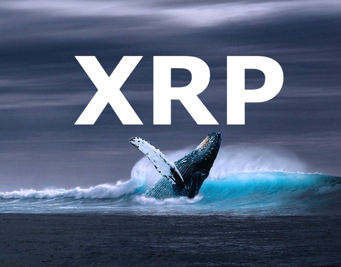 In this digital illustration featuring a whale, the main focus is on the XRP wallet. The XRP whale shows its face, which says "XRP" across the top of it. It's floating in the ocean with its mouth open and appearing to be out of the water, perhaps just rising above a wave or diving towards another one. 

The background features an image of a crashing wave, as well as other ocean elements such as a small boat on the right side of the picture and some text, including the word "XRP" written across it at the top of the scene. The main illustration is located near the center of the image, while the words about whale and XRP wallets are positioned slightly to its left.