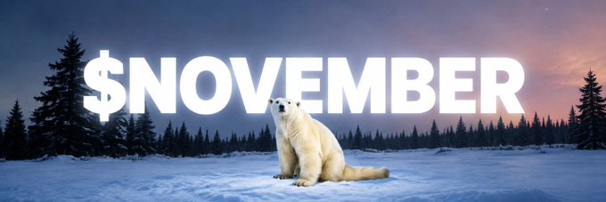 A polar bear sits on a snowy expanse with pine trees and a twilight sky in the background, overlaid with large bold white text reading '$NOVEMBER'.