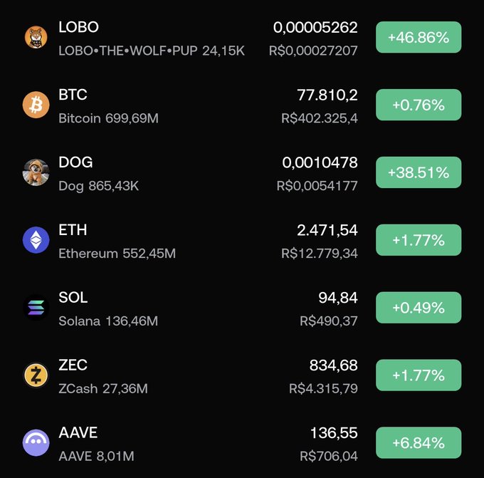 Cryptocurrency price tracker displaying coins including LOBO (+46.86%), BTC (+0.76%), DOG/Dogecoin (+38.51%), ETH (+1.77%), SOL (+0.49%), ZEC (+1.77%), and AAVE (+6.84%) with prices in Brazilian Reais.