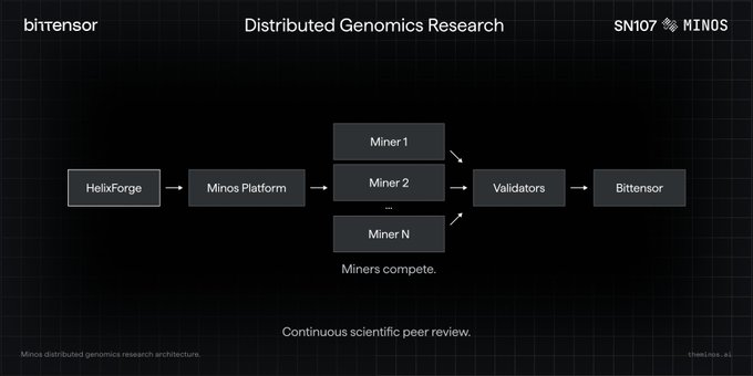 A diagram titled 'Distributed Genomics Research' showing a workflow from HelixForge through the Minos Platform to competing Miners (Miner 1, Miner 2, Miner N), then to Validators and finally Bittensor, with text 'Miners compete' and 'Continuous scientific peer review.' SN107 MINOS appears in the top right.