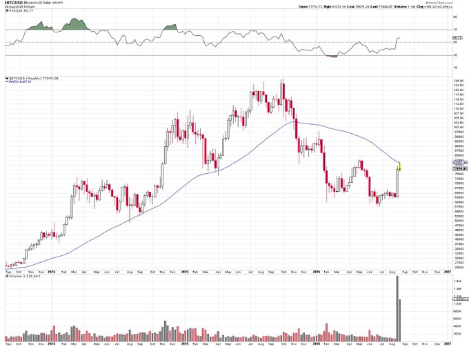 A Bitcoin/USD weekly chart on Bitfinex showing BTCUSD pair price action around 71,500 with a weekly chart resistance near 76,000, alongside a 50-week moving average that price is currently testing. The chart illustrates the post's point: BTC has rallied into the 50WMA (~$75,000 area), where bears have stepped in to defend the level, with volume spiking on the latest push.