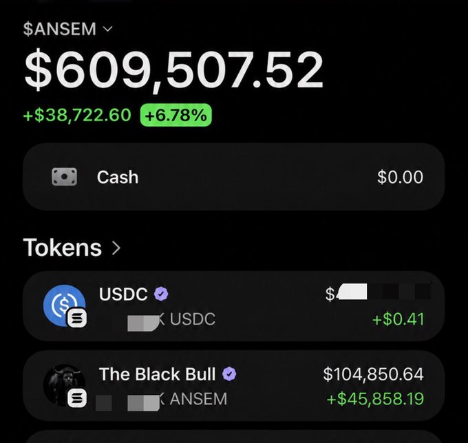 The image shows a portfolio screen displaying a total value of $609,507.52 for the $ANSEM token, up +$38,722.60 (+6.78%) in gains, with the top holding being "The Black Bull" ($ANSEM) valued at $104,850.64. The caption ties into the post's "aping over 6 figs" claim by showcasing the substantial $ANSEM holdings backing up that boast.