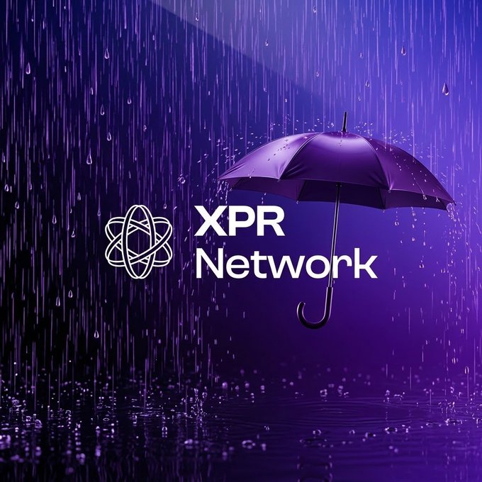 The XPR Network logo featuring a purple umbrella with the network's atom-like symbol against a backdrop of falling rain.