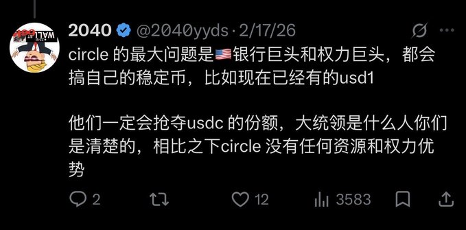 A screenshot of a X post from @2040yyyds dated 2/17/26 arguing that Circle's biggest problem is that US banking giants and power players will launch their own stablecoins (like USD1) to compete for USDC's market share, leaving Circle with no resource or power advantages against entrenched institutions.