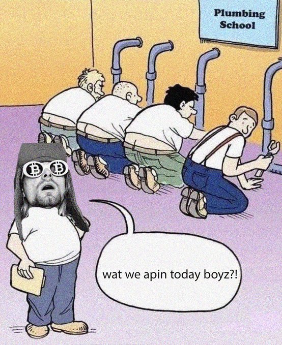 A meme showing a character with Bitcoin-symbol eyes watching students at "Plumbing School" peering down at what they're doing, with the caption "wat we apin today boyz?!". The image humorously illustrates the post about "$Jimothy" by framing it as crypto insiders ("aping" into tokens) observing plumbers, poking fun at speculative investors rushing into memecoins.