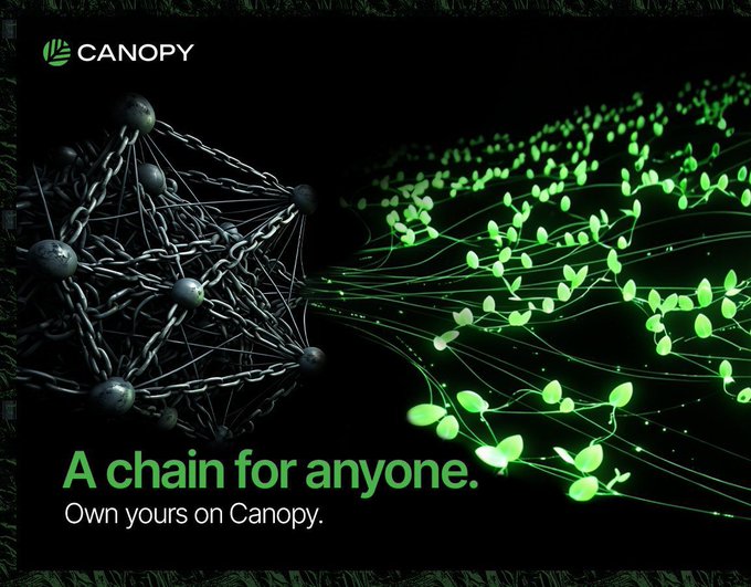 A promotional image for "CANOPY" blockchain with the tagline "A chain for anyone. Own yours on Canopy." showing an artistic split between dark chains and bright green glowing plant-like structures.