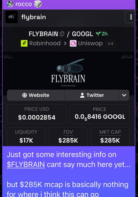 A Discord message from "flybrain" channel displays FLYBRAIN token metrics showing a $285K market cap and $17K liquidity, with text reading "Just got some interesting info on $FLYBRAIN cant say much here yet... but $285K mcap is basically nothing for where i think this can go." This screenshot serves as evidence for the accompanying post's claim that the user called FLYBRAIN at $285K market cap before it ran to $40M three hours later.
