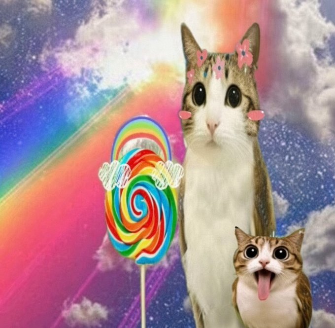 A digital illustration of two cats with big cartoon eyes and pink flower accessories, sitting in a starry, cloudy sky next to a rainbow lollipop with wings.