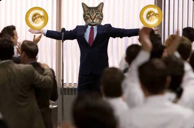 Meme image showing a cat's head superimposed on a businessman holding two gold coins, resembling the 'Business Cat' meme, with a cheering crowd in the background.