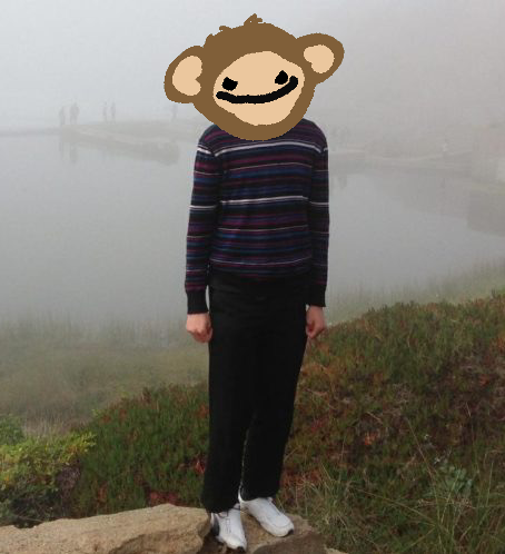 A person wearing a striped sweater and dark pants stands on a rock near a foggy body of water, with a cartoon monkey emoji face covering their head.