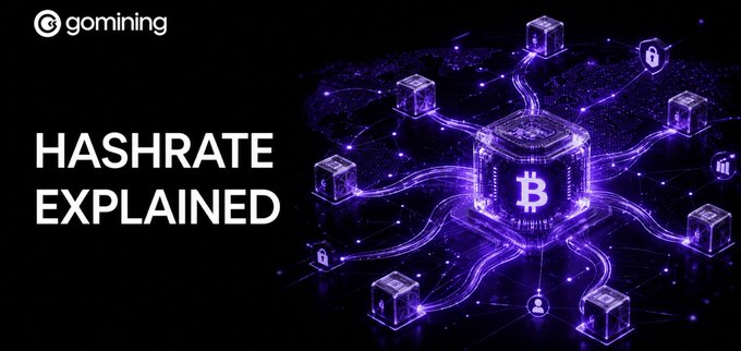 The image features an illustration of a hashrate chart, which includes various Bitcoin coins within blocks, set against a dark background with purple lines representing hash rates. The title at the top reads "After 5 years building Bitcoin mining, here'S something every GoMining user should understand — because once you see it, the number on your dashboard starts telling a much richer story than just 'bigger is better.'"