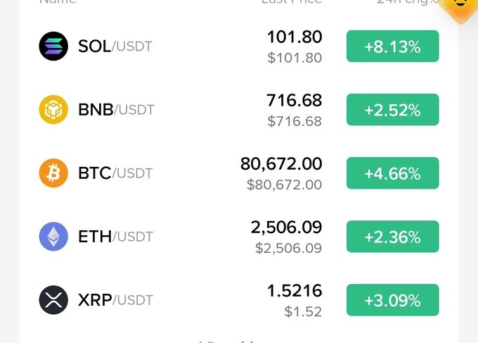 A cryptocurrency price tracking table showing positive 24-hour price changes, with SOL/USDT at $101.80 (+8.13%), BNB/USDT at $716.68 (+2.52%), BTC/USDT at $80,672.00 (+4.66%), ETH/USDT at $2,506.09 (+2.36%), and XRP/USDT at $1.52 (+3.09%).