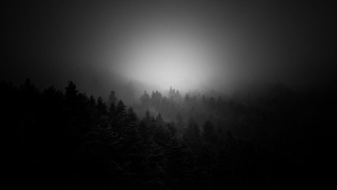 A misty black and white photograph of a dark forest treeline with a glowing light shining through fog in the center.