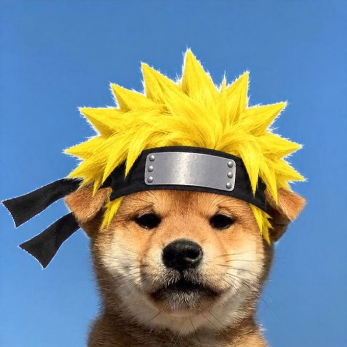 A Shiba Inu dog wearing a spiky yellow wig with a black headband against a blue sky background.