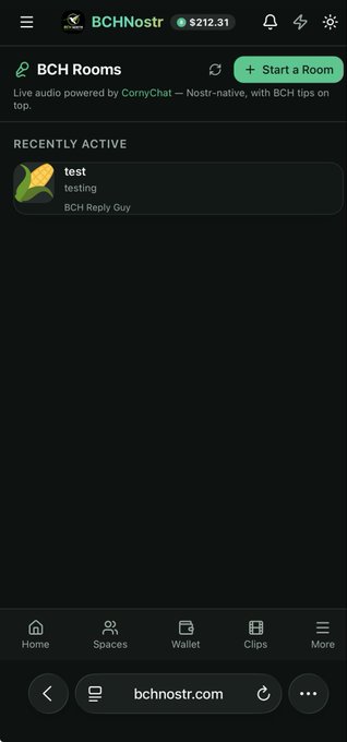 A mobile screen showing the BCHNostr app with 'BCH Rooms', a 'Start a Room' button, and a recent activity entry labeled 'test'.