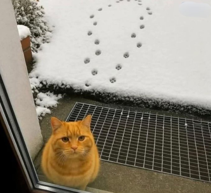 A grumpy orange tabby cat sits at a doorstep, staring back at a trail of paw prints leading away through fresh snow—a visual metaphor for the post's caption, "Me leaving crypto," suggesting the cat has already made its exit and is now reluctantly watching someone else follow its footprints away from the market.