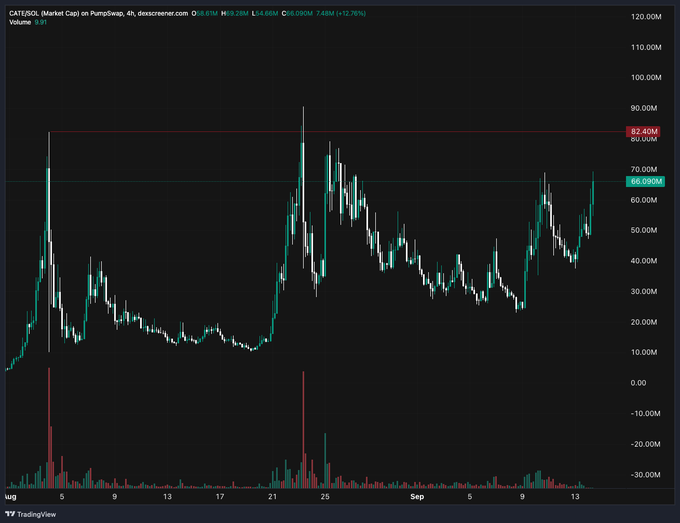 This is a trading chart for CATE/SOL on PumpSwap, showing a market cap of 66.090M with a recent increase of 12.76%. The post expresses extreme bullishness on this upward trend, questioning if there are reasons not to invest fully.