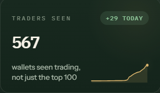 A dark-themed stat card showing 'TRADERS SEEN' with '+29 TODAY' and a large number '567' above the text 'wallets seen trading, not just the top 100', accompanied by a small rising line chart.
