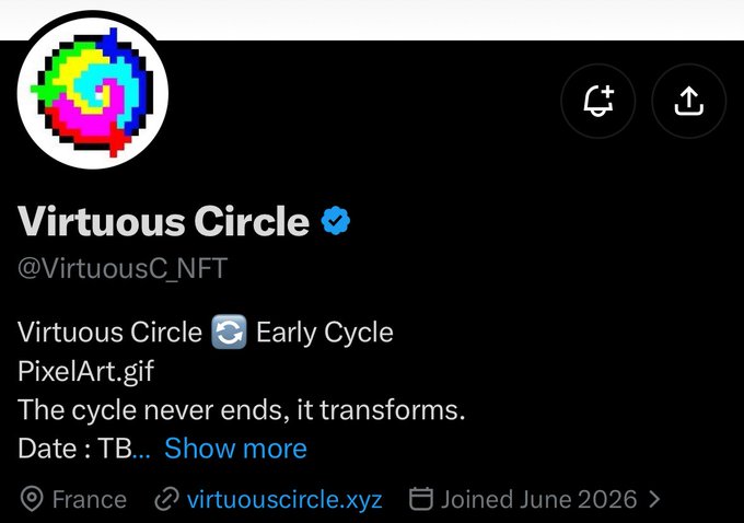 A Twitter/X profile screenshot for "Virtuous Circle" (@VirtuousC_NFT), verified with a blue checkmark, featuring a pixelated rainbow swirl logo and bio describing it as an "Early Cycle PixelArt.gif" project based in France with a "Show more" link. The image showcases the early-stage NFT project referenced in the accompanying post, credited to @WON3A_Flip.