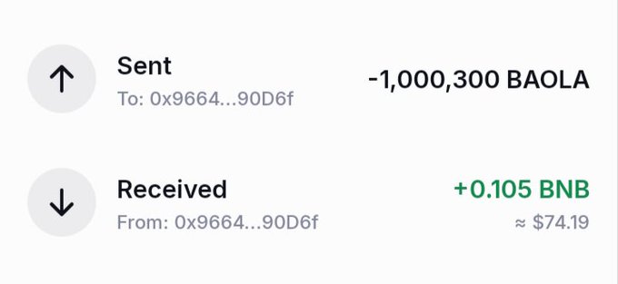 A crypto transaction record showing 'Sent -1,000,300 BAOLA' to address 0x9664...90D6f and 'Received +0.105 BNB' (≈$74.19) from the same address.