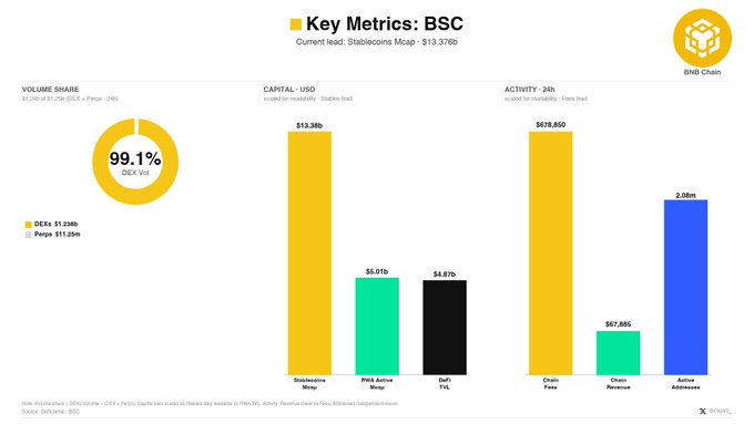 The image presents "Key Metrics: BSC" showing BNB Chain statistics, including a 99.1% DEX Volume share ($1.238b DEX vs $11.25m Pego), a Capital-USD chart led by Stablecoins Mcap at $13.38b (followed by RWA Active Mcap at $5.01b and DeFi TVL at $4.87b), and Activity-24h metrics featuring 678,850 Chain Fees, $67,885 Chain Revenue, and 2.08m Active Addresses.