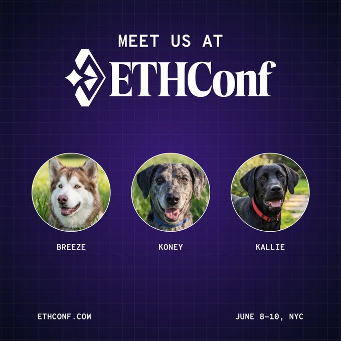The image features three dogs, each with a different color of fur - brown, black, and gray. They are all facing the camera, appearing as if they're posing for a photo or an advertisement. The background of the image is purple, which contrasts nicely with the white text that reads "Meet us at EthCon". This suggests that the dogs might be part of an event related to ethical discussions or awareness campaigns about animal welfare and treatment.