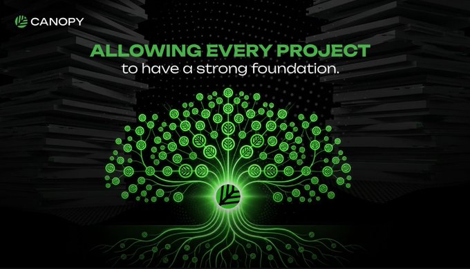 A Canopy promotional graphic with the text 'ALLOWING EVERY PROJECT to have a strong foundation,' showing a glowing green tree made of connected nodes against a dark background.