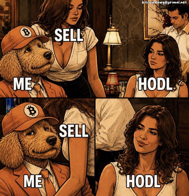 A four-panel meme featuring a dog wearing a Bitcoin cap labeled 'ME' looking between two women labeled 'SELL' and 'HODL', with the watermark 'bitcoindawg@primal.net'.