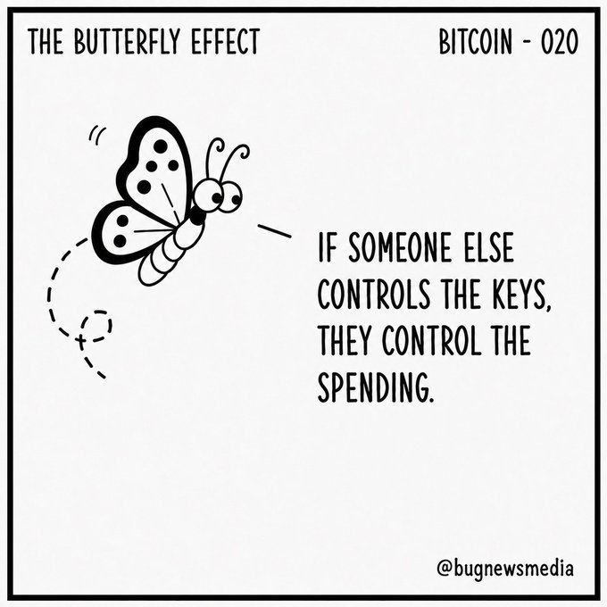 A black and white cartoon illustration titled 'THE BUTTERFLY EFFECT - BITCOIN - 020' by @bugnewsmedia, showing a butterfly with the text 'IF SOMEONE ELSE CONTROLS THE KEYS, THEY CONTROL THE SPENDING.'