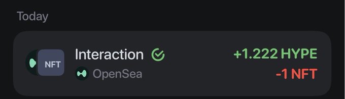 A digital interface displays a 'Today' activity card showing an 'Interaction' NFT event on OpenSea, with a green checkmark indicating success, alongside gains of '+1.222 HYPE' and a loss of '-1 NFT'.