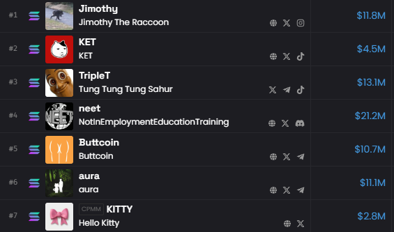 The image shows a ranked list of crypto tokens with market caps, including Jimothy ($11.8M), KET ($4.5M), TripleT ($13.1M), neet ($21.2M), Buttcoin ($10.7M), aura ($11.1M), and KITTY ($2.8M). This appears to illustrate the post's sentiment of patiently holding and accumulating through market volatility, with the portfolio reflecting a meme-coin-heavy thesis being maintained despite apparent downturns.