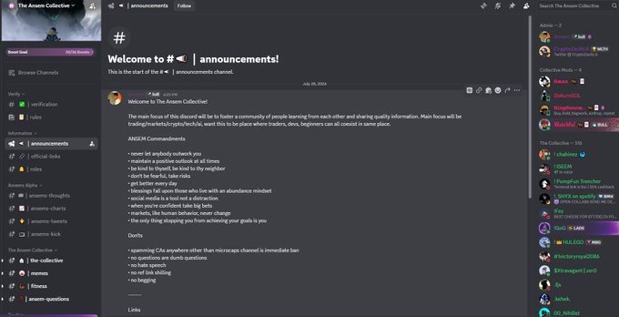 A Discord server screenshot showing the #announcements channel for 'The Anem Collective' with a welcome message, server rules, and community guidelines posted on July 25, 2025.