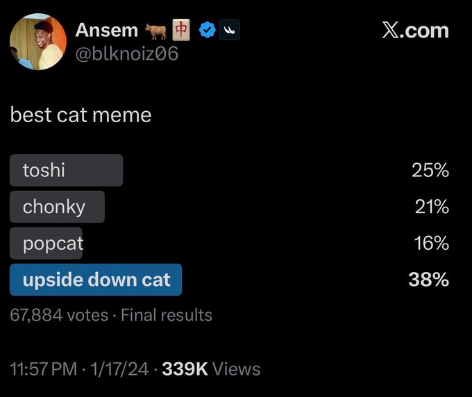 Ansem's "best cat meme" poll on X.com shows "upside down cat" winning with 38% of the 67,884 votes, despite Popcat only receiving 16%. This poll relates to the accompanying post's irony about Popcat's viral success outside of crypto.