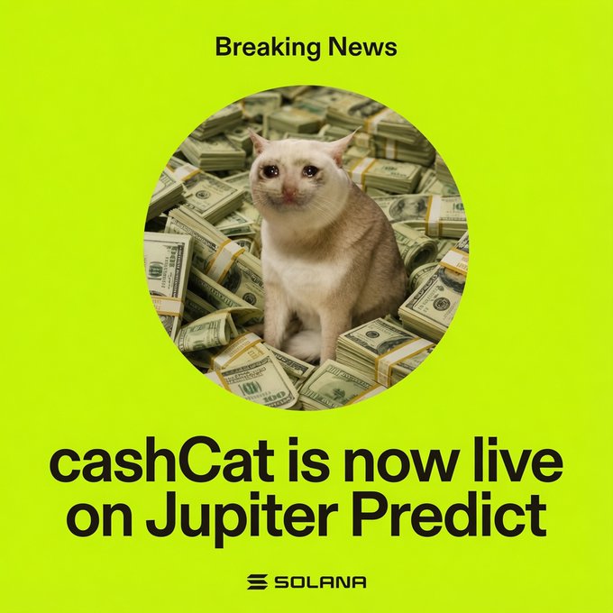 A bright green graphic announcing that 'cashCat is now live on Jupiter Predict' on Solana, featuring a cat sitting on a pile of money with 'Breaking News' text.