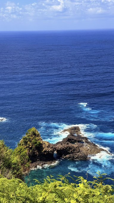 A rocky coastline juts out into the vast blue ocean, framed by lush green ferns in the foreground under a partly cloudy sky. The serene, sunlit seascape provides a peaceful backdrop that contrasts with the crypto wallet address announcement in the accompanying post.