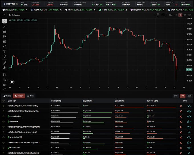 A cryptocurrency trading dashboard on TradingView displays the SUNY/ADA price chart at 0.5621 ADA, showing a sharp 25.89% decline (consistent with the post's mention of SURF being down 25% for the day), alongside several other altcoins including HOSKY, NIGHT, STRIKE, babySNX, and SNX, all marked with significant gains. Below the price chart, a "Stake Keys" panel lists multiple staking positions with their total volume, buy volume, sell volume, and buy-sell delta metrics for various wallets.