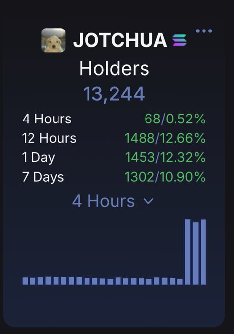 A dark-themed NFT analytics dashboard for 'JOTCHUA' showing 13,244 holders with percentage changes over 4 Hours, 12 Hours, 1 Day, and 7 Days, accompanied by a bar chart.